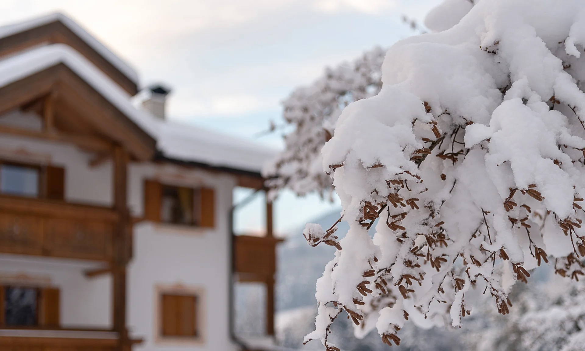 Entschleunigen und genießen in diesem Hotel nahe Bruneck Schneebedeckte Äste vor einem Holzhaus im Winter